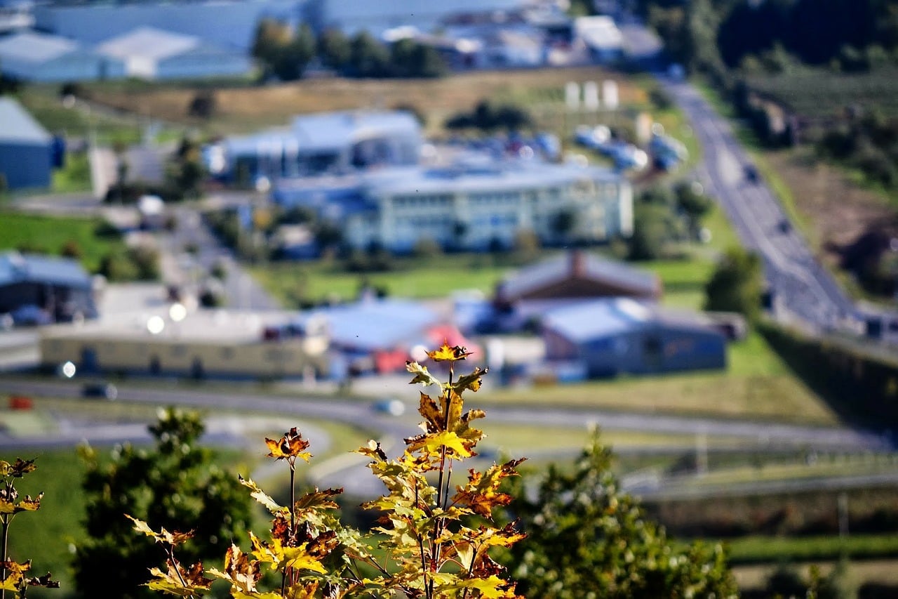 Taking Portrait Photos with Blurry Background and Understanding Depth of Field