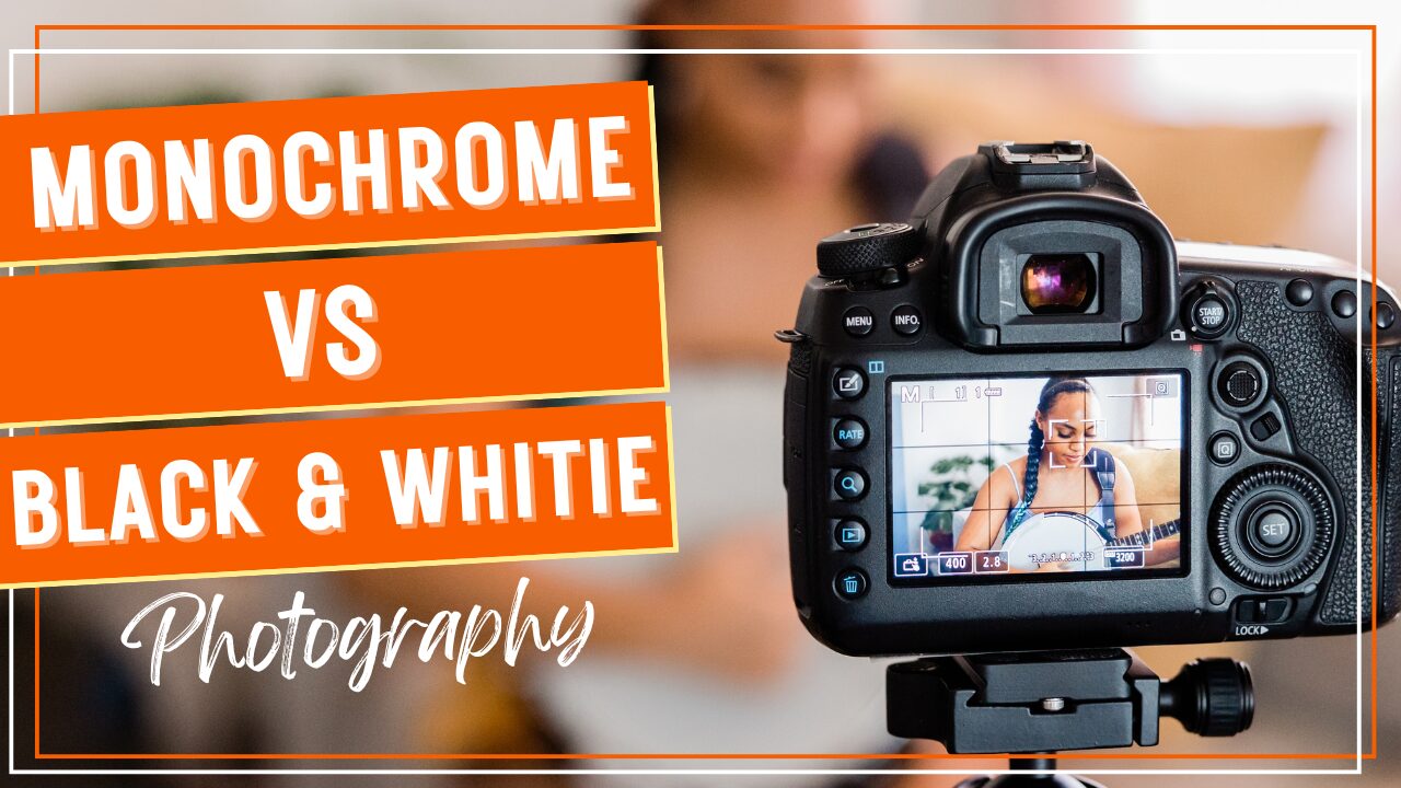 Monochrome Photography vs. Black and White