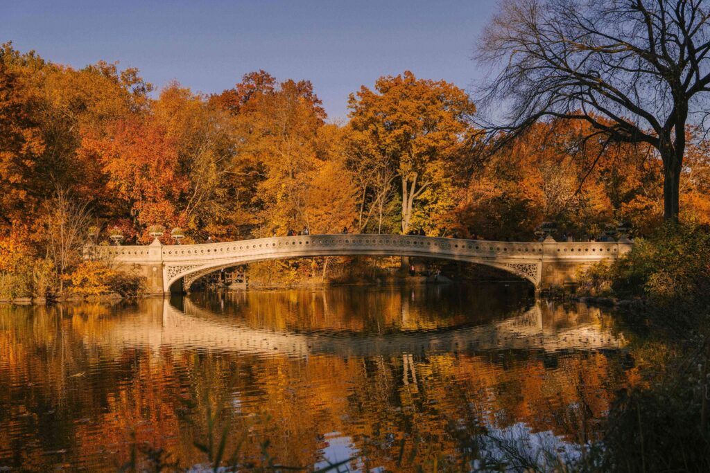 Discover the beauty of perfect symmetry in this breathtaking photograph of a bridge reflected in a serene lake. The mirror-like.