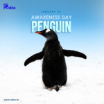 penguin-awareness-day